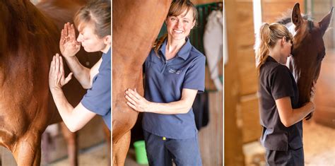Applications for enrollment must include a 400. . Equine massage therapy schools wisconsin